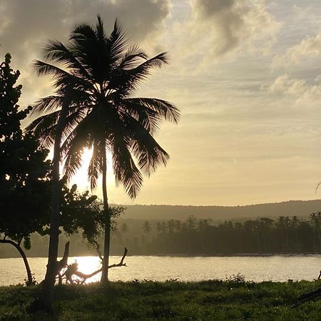 Yes Papa! Rooms Only 100M From The Beach! Las Galeras Exteriér fotografie
