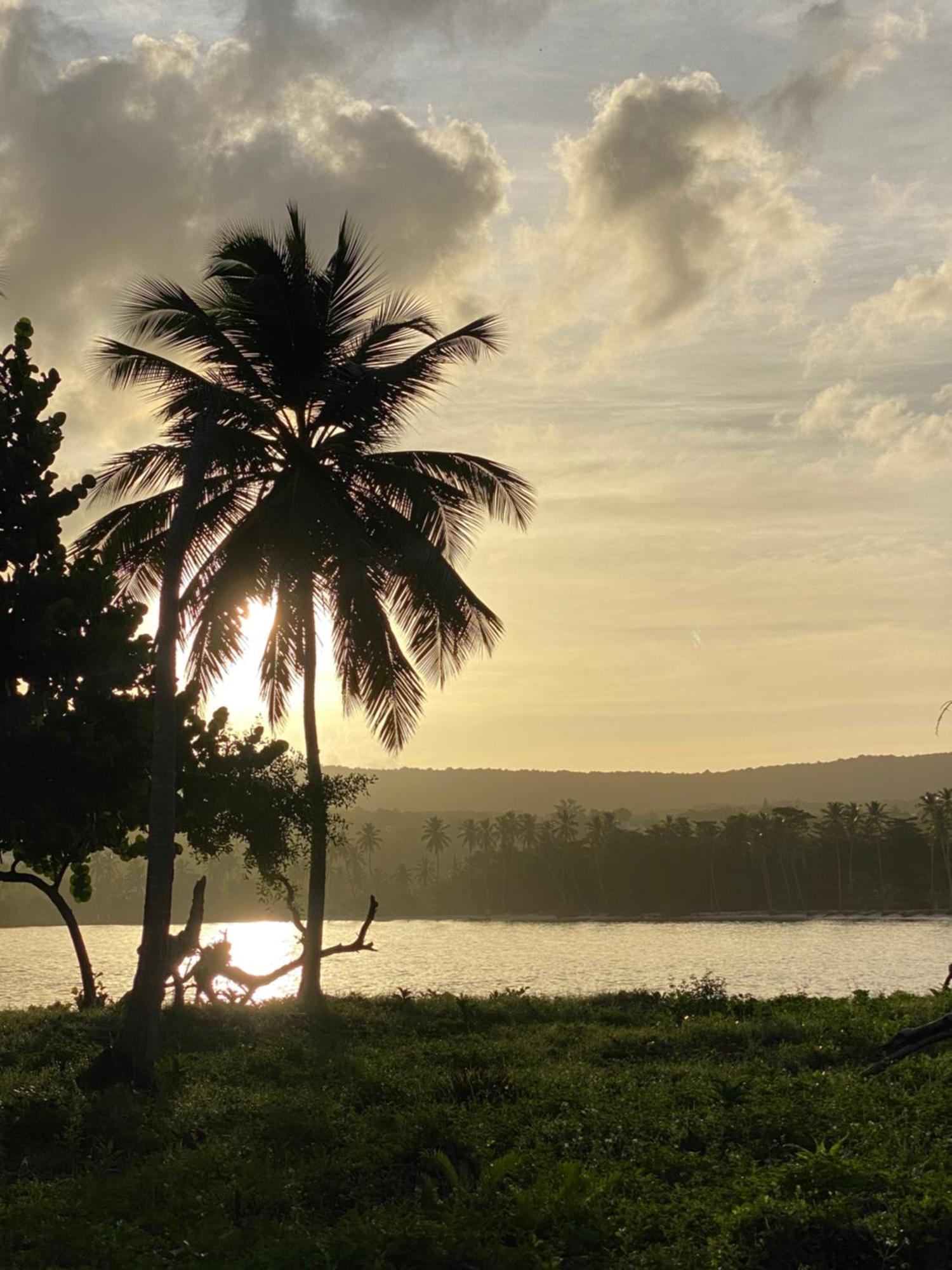 Yes Papa! Rooms Only 100M From The Beach! Las Galeras Exteriér fotografie
